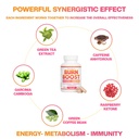 skinnyboost-quick-cleanse-and-green-tea--3.jpg