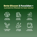 beta-glucan-fucoidan-brown-seaweed-extra-6.jpg