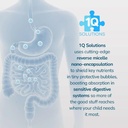 1q-focus-liquid-cognitive-brain-support--3.jpg