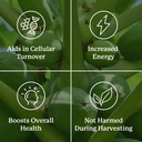 nature-s-sunshine-paw-paw-cell-reg-180-c-5.jpg