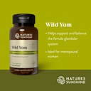 nature-s-sunshine-wild-yam-capsules-herb-4.jpg