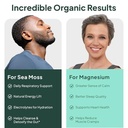 organics-ocean-wild-sea-moss-capsules-an-4.jpg