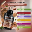 mushroom-supplement-organic-lions-mane-t-4.jpg