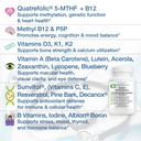 active-multivitamin-adk-methyl-b-complex-4.jpg