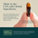 gaia-herbs-mighty-lungs-lung-support-sup-4.jpg