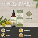 wild-mullein-leaf-extract-4.jpg