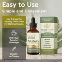 wild-mullein-leaf-extract-3.jpg