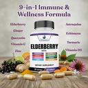 american-standard-supplements-elderberry-3.jpg