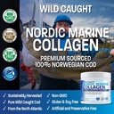 bronson-marine-collagen-peptides-hydroly-6.jpg