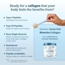wondercow-collagen-peptides-powder-w-bov-6.jpg