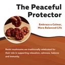 organic-reishi-mushroom-capsules-extract-2.jpg