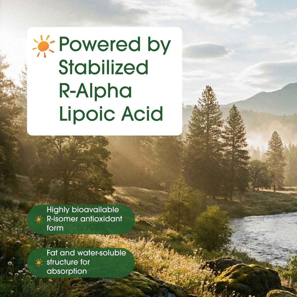 naturebell-r-alpha-lipoic-acid-90-capsul-6.jpg