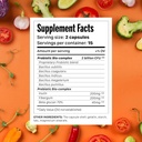 syndigest-probiotic-daily-care-for-women-3.jpg