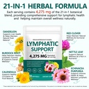 lymphatic-drainage-supplements-240-softf-2.jpg