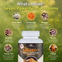 naturealm-sacred-7-mushroom-supplement-c-3.jpg