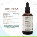 black-walnut-b120-alcohol-free-herbal-ex-3.jpg