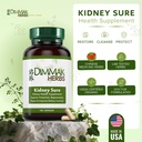 dimmak-herbs-kidney-sure-kidney-cleanse--2.jpg
