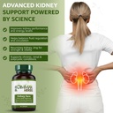 dimmak-herbs-kidney-sure-kidney-cleanse--5.jpg