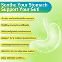 h-pylori-defense-probiotics-100-billion--3.jpg