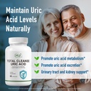 huj-total-cleanse-uric-acid-uric-acid-cl-4.jpg