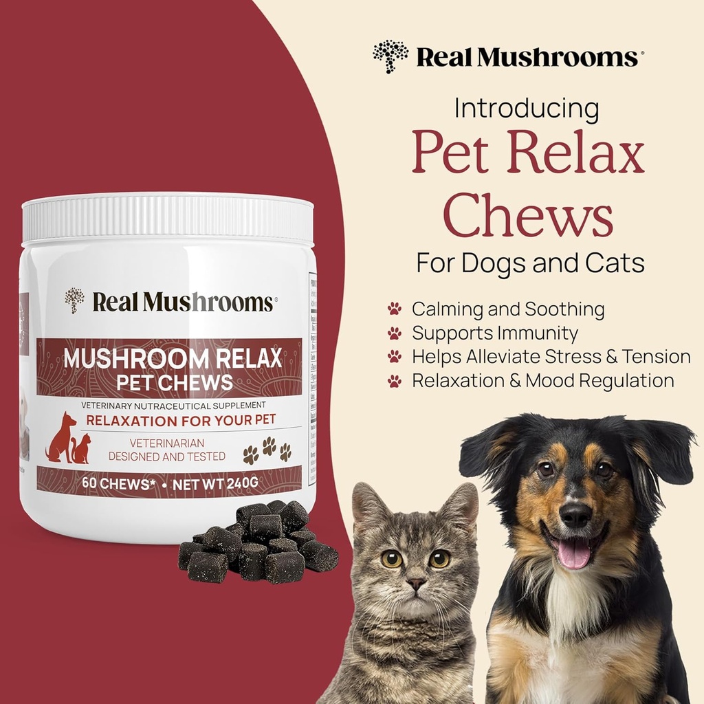 real-mushrooms-reishi-cordyceps-for-huma-5.jpg