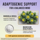 premium-saffron-supplement-with-turmeric-6.jpg