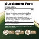digestistart-natural-digestive-supplemen-3.jpg