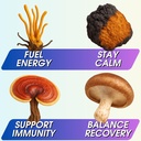 instant-mushroom-powder-101-cordyceps-mu-4.jpg