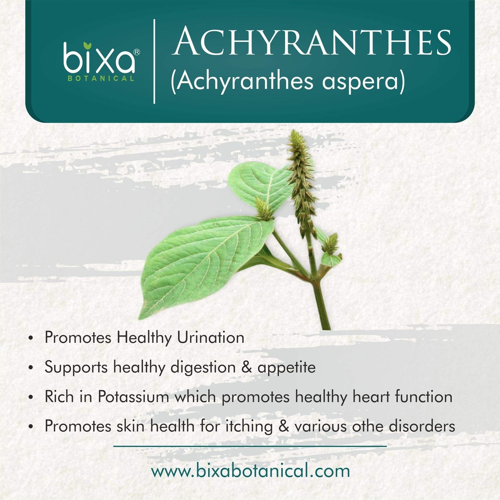 bixa-botanical-achyranthes-aspera-powder-2.jpg