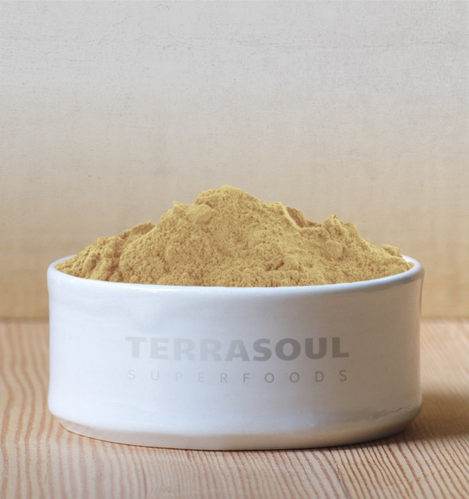 terrasoul-superfoods-organic-amla-powder-4.jpg