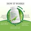 aloecure-aloe-digestion-pack-2-pieces-al-3.jpg
