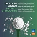gobhb-clean-energy-powder-nsf-sport-cert-4.jpg