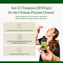 go-nutrients-intestinal-edge-gut-cleanse-6.jpg