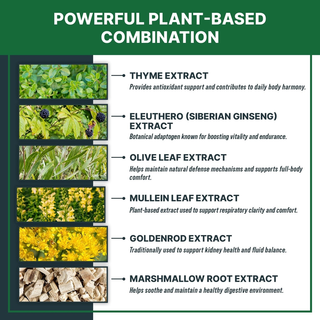 maxbuddy-natural-intestinal-defense-herb-3.jpg
