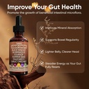 notox-black-walnut-wormwood-gut-cleanse--2.jpg
