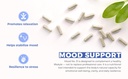 mood-no-31-clinician-formulated-mood-sup-2.jpg