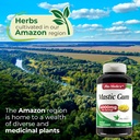 fito-medics-labs---mastic-gum-4000-mg-pe-5.jpg