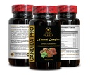 candida-pro-complex-candida-cleanse-deto-4.jpg