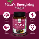 maca-root-capsules-for-women-potent-herb-5.jpg