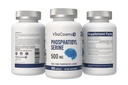 phosphatidylserine-500-mg-240-veggie-cap-4.jpg