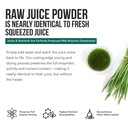 organic-wheatgrass-juice-powder-plus-org-4.jpg