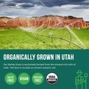 organic-wheatgrass-juice-powder-plus-org-3.jpg
