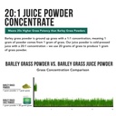 organic-wheatgrass-juice-powder-plus-org-2.jpg