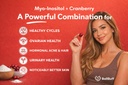 myo-inositol-d-chiro-inositol-powder-40--2.jpg