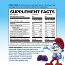 the-smurfs-immune-support-supplement-vit-2.jpg