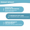 kirkland-signature-b-12-5000-mcg-300-tab-3.jpg