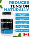 renew-actives-l-theanine-supplements-pro-6.jpg