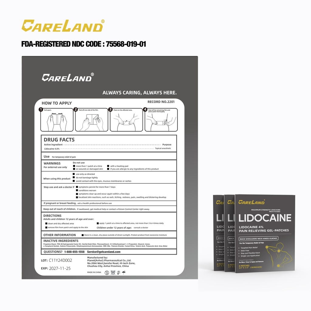 careland-lidocaine-gel-patch-18-count-ma-5.jpg