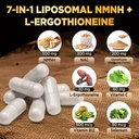 liposomal-nmnh-ergothioneine-supplement--3.jpg