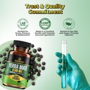 extra-strength-yerba-mate-high-potency-6-6.jpg